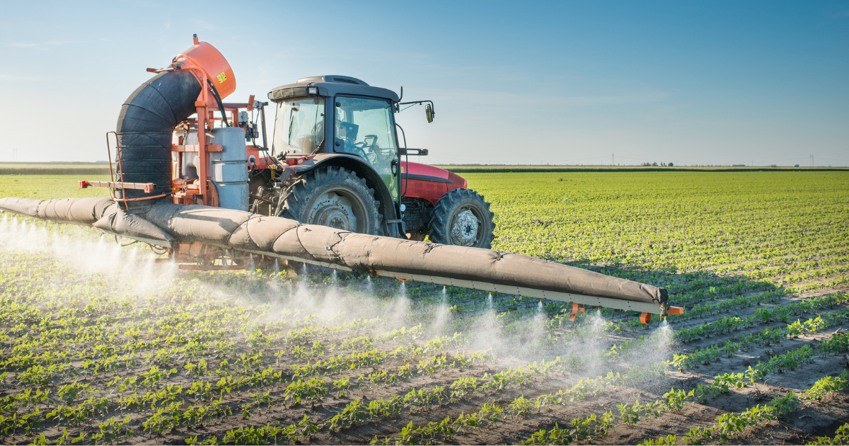 alimenti senza pesticidi